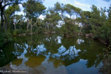 <center>Un lac.</center>