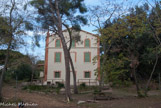 <center>Bastde Rostand ou Granet.</center>
