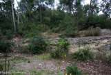 <center>Théâtre de verdure.</center>Le site : un grand cercle de banquettes, les pins en arrière-plan