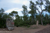 <center>Théâtre de verdure.</center>Marie Thérèse de Sanderval, petite-fille de Bapstistin, était une félibre. Elle donnera ic,i dans ce vallon boisé du parc de Montredon, des spectacles, des fêtes en 1911-1912 dans la plus pure tradition félibre. Lily Pastré donnera le 27 juillet 1942 une représentation du Songe d'une nuit d'été de Shakespeare La traduction est de François-Victor Hugo, la mise en scène de Jean Wahl les décors et les costumes de Christian Bérard (lui et Ira Belline, nièce d'Igor Stravinski ont fait merveille avec tout ce qu'ils ont trouvé dans les greniers de Montredon), la partition musicale, composée spécialement, est de Jacques Ibert, Manuel Rosenthal est le chef d'orchestre, tous les exécutants sont juifs. Svetlana Pitoëff fait ses débuts et parmi les fées, on reconnaît Hélène Duc et Edmonde Charles-Roux. Un spectacle inoubliable. Un songe pourtant dont, comme le voulait Shakespeare, une fois dissipé, il ne reste rien. En effet un bal suit, pour lequel la comtesse Pastré prête aux uns et aux autres les costumes habilement chiffonnés par Christian Bérard et Ira Belline. A une seule condition : à l'aube, chacun brûlera son habit de fête, et dans la fumée tout s'évaporera, alors que le vallon tranquille aura repris, lui aussi, en plein soleil son aspect habituel.