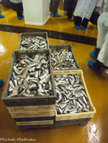 <center>Conserverie Lou Ferrignade</center>Les sardines du Maroc, comme le poisson.