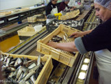 <center>Conserverie Lou Ferrignade</center>Mise en boites à la chaîne.