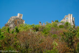 <center></center>