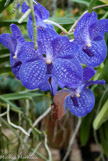 <center></center>