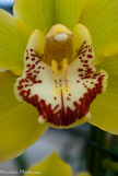 <center></center>