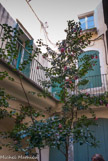 <center>Rue Antonin Paris</center>