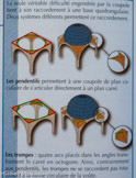 <center>Le pendentif</center>