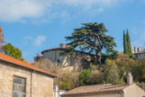 <center></center>