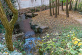 <center>Les canaux</center>On l'oublie trop souvent, mais Valence est traversée par plus de 16 km de canaux. L'eau, issue des sources, alimente des bassins comme ceux du Parc Jouvet ou irrigue des jardins privés et ce depuis l'époque romaine. Ce réseau peut être considéré comme un véritable corridor biologique à travers la ville. Il cache jalousement une faune et une flore très diversifiées.