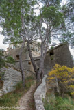<center>Le château de Saumane.</center> Le monument occupe un éperon naturellement défendu et utilisé avant la romanisation en tant qu'oppidum celto-ligure, si l'on se réfère aux nombreux indices archéologiques reconnus aux abords.
