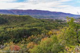 La vallée du Calavon. Dans les bois, la chapelle st Georges. Au fond, la montagne du Luberon.