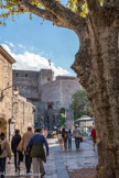 Collioure. <br>Place d'armes.