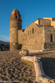 Église Notre-Dame-des-Anges