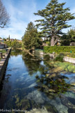 Goudargues. <br> Au fond, la résurgence de la Fontaine. Elle est alimentée par des plateaux “karstique” ce situant au nord-ouest de Goudargues. La particularité de la Fontaine de Goudargues contrairement à d’autre résurgence de ce type, est marquée par un débit (1400 m3/h) et une température (14°) constant. Des vestiges d’une villa et de bains Romains nous prouvent une occupation dès le IIIe siècle aux abords de la fontaine. Ce furent ensuite les moines bénédictins au VIIIe siècle qui prirent la possession des lieux. En canalisant la Fontaine autours du monastère, les moines ont pu renforcer leurs protections, irriguer des cultures et actionner un moulin à huile et à grains.