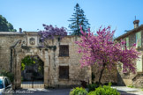 Saint Didier.<br> Le Château. La première trace du château figure dans le texte de restitution de Saint-Didier par le. Comte de Toulouse à l’évêque de Carpentras en 1159. Dans ce manuscrit, l’édifice, par la dénomination de « villa Sancti Desiderii » apparaît comme un lieu de villégiature encore bien loin de son aspect actuel. Par la suite, les aménagements remontant à la fin XVe - début XVIe siècle, marquent le véritable départ de l’histoire de ce château. Il s’agit de la période à laquelle la seigneurie de Saint-Didier passe entre les mains des Thézan à la suite du mariage d’Elzéar avec Siffreine de Venasque, dame de Saint Didier, le 3 février 1483.
Pendant près de trois siècles et demi, ils occupent le château, laissant au fil du temps des anecdotes comme la légende selon laquelle Beaumarchais, ami du marquis de Thézan, écrivit le cinquième acte de son mariage de Figaro au château. Peu après, le domaine passe entre les mains des Thézan-Poujols (1779) traversant l’époque de la révolution sans que l’édifice ne subisse de dommages. En 1809, il est vendu à la Baronne de Suze, puis, le 6 janvier 1814, le château devient la propriété du marquis Pelletier de la Garde faisant affluer en ses murs la haute société. Son fils, Henri Auguste Paul, ruinée est obligé de vendre.