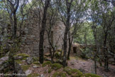 <center>Jour 2 : vers le Castello di Baricci</center>Ruine d'une maison de maître. Il y a plusieurs structures bâties médiévales dispersées dans le sous-bois du flanc nord.