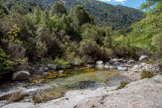 <center>Jour 1. Le torrent de  Tavulella. </center>Quelques fois impétueuse, le plus souvent calme et animée d'un mouvement lent reposant, la rivière s'écoule avec sérénité, sous de grandes voutures de branche.