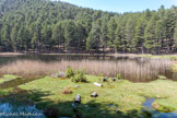 <center>Jour 3. Lac de Crena.</center>