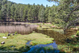 <center>Jour 3. Lac de Crena.</center>