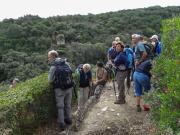 020-pont_du_gard-00916.jpg