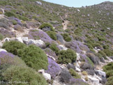 <center>Amorgos</center>