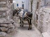 <center>Amorgos</center>Balade du 12/07/2006. Langada.