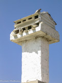 <center>Paros</center>17/07/2006. Prodromos.