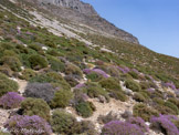 <center>Amorgos</center>