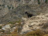 <center>Amorgos</center>