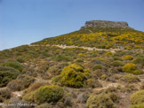 <center>Amorgos</center>