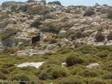 <center>Amorgos</center>