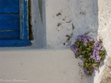 <center>Amorgos</center>Balade du 12/07/2006.