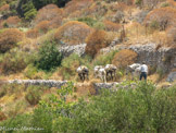 <center>Amorgos</center>Balade du 12/07/2006. Langada.