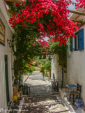 <center>Amorgos</center>Balade du 12/07/2006. Langada.