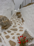 <center>Amorgos</center>Balade du 14/07/2006. Agios Ioannis Théologos