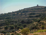 <center>Paros</center>17/07/2006. Lefkés.