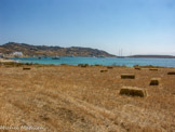 <center>Paros</center>19/07/2006. Kolimbythres.