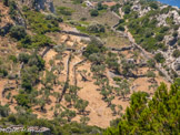 <center>Sifnos.</center>21/06/2008.