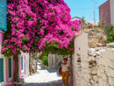 <center>Syros</center>23/06/2008.