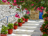 <center>Tinos.</center>26/06/2008. Smardakito.