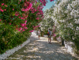 <center>Tinos.</center>26/06/2008. Smardakito.