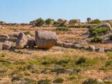 <center>Tinos.</center>27/06/2008. Volax.