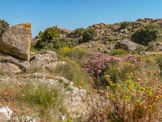 <center>Tinos.</center>27/06/2008. Volax.