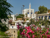 <center>Tinos.</center>27/06/2008. Agapi.