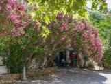 <center>Tinos.</center>27/06/2008. Agapi.