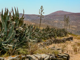 <center>Tinos.</center>27/06/2008.