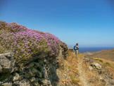 <center>Tinos.</center>27/06/2008.