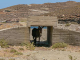 <center>Tinos.</center>27/06/2008.