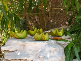 <center>Tinos.</center>28/06/2008.