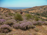 <center>Tinos.</center>28/06/2008.